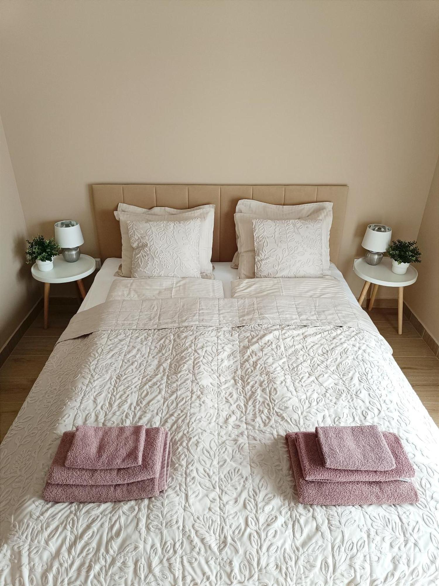 Modern Lux Home Szeged Kültér fotó