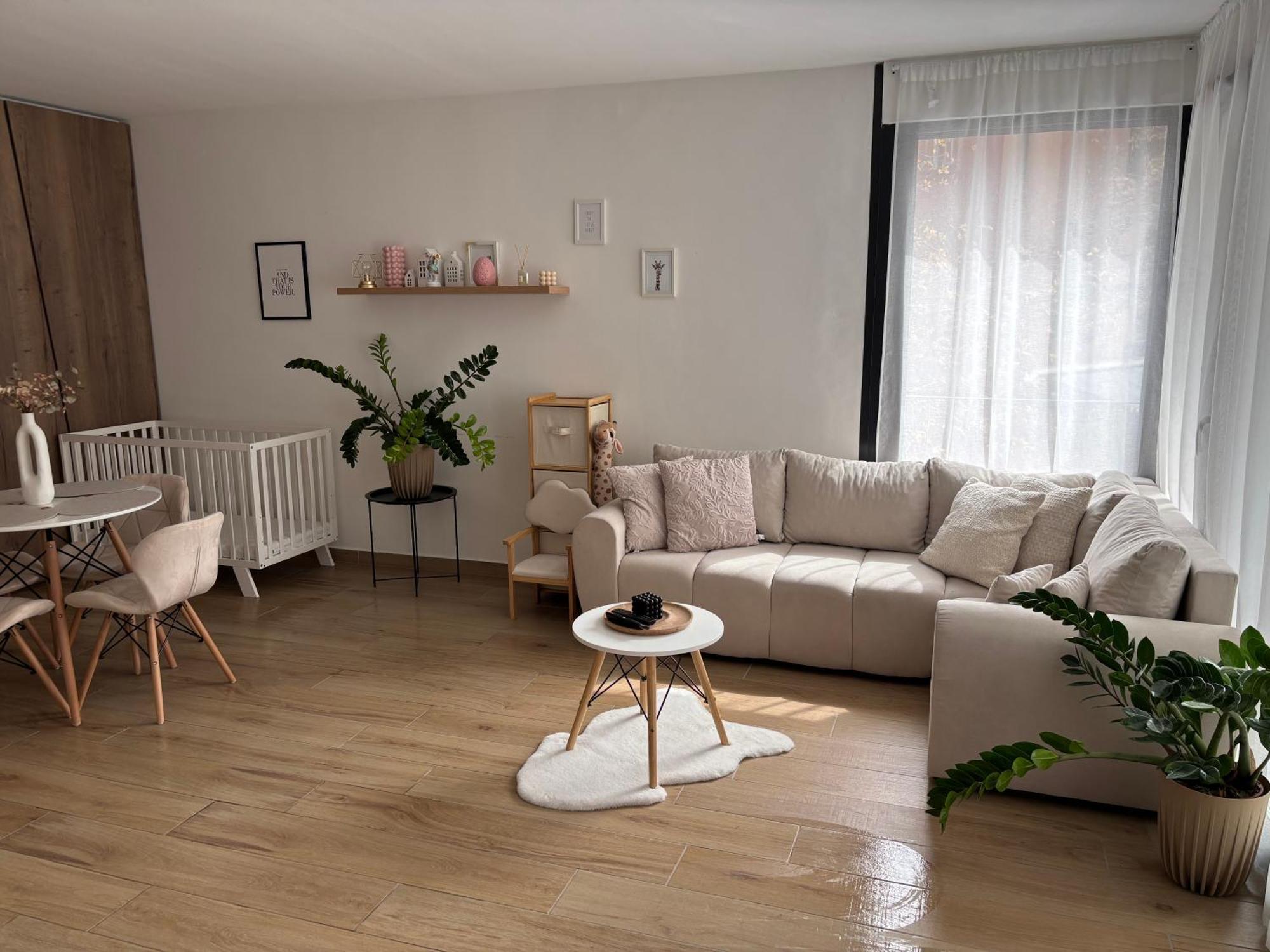 Modern Lux Home Szeged Kültér fotó